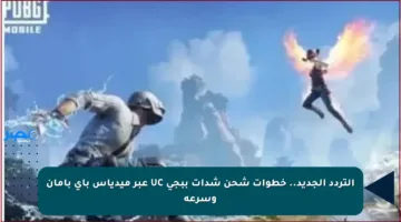 التردد الجديد.. خطوات شحن شدات ببجي UC عبر ميدياس باي بأمان وسرعة